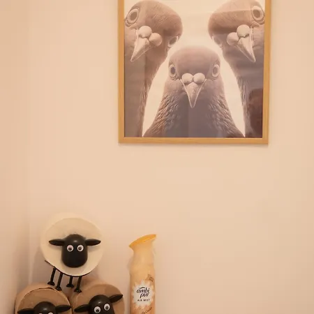 Cosy Hideaway Near Kiserdo Appartement *